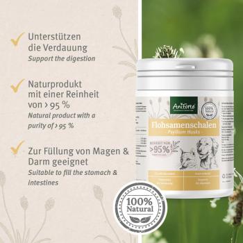 Preview: Flohsamenschalen - 250 g